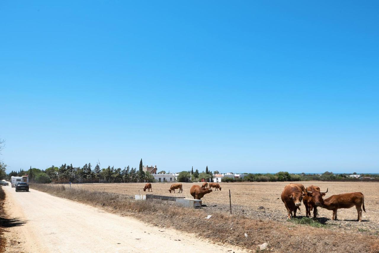 Casa Mora - Vejer, El Palmar Villa Vejer de la Frontera Exteriör bild
